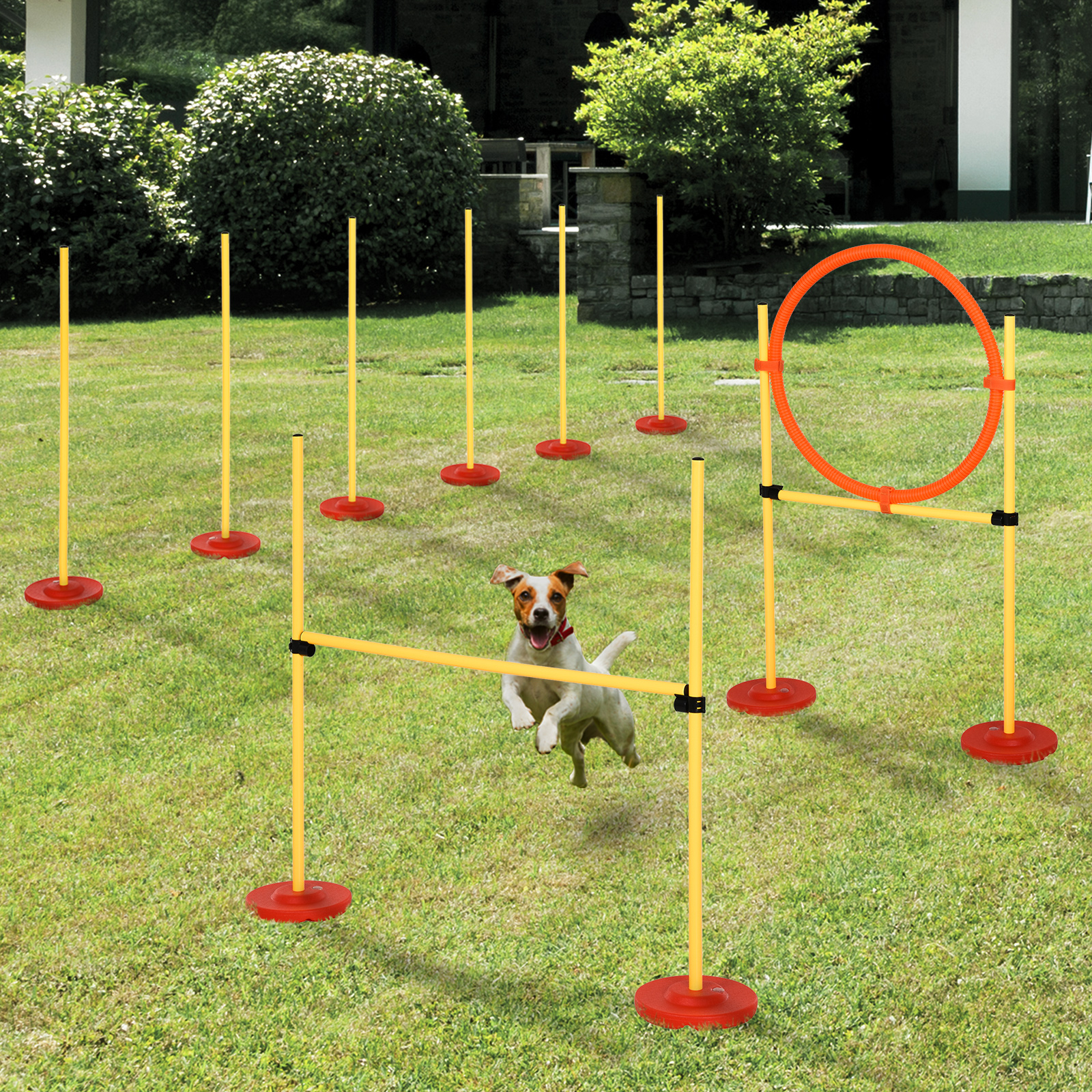 PawHut Outdoor 3 PC Dog Pet Agility Training Garden Starter Obstacle